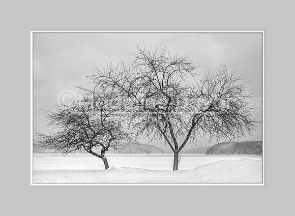 021414_0259_WtrSolitudeQuabbin_matted