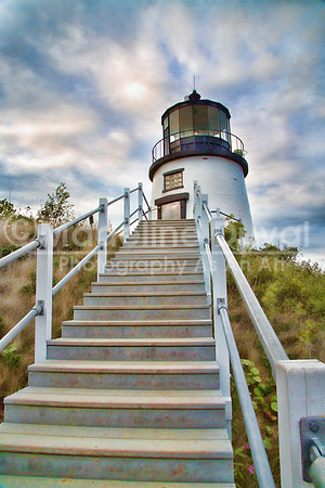 081912_2094_1_OwlHeadLight