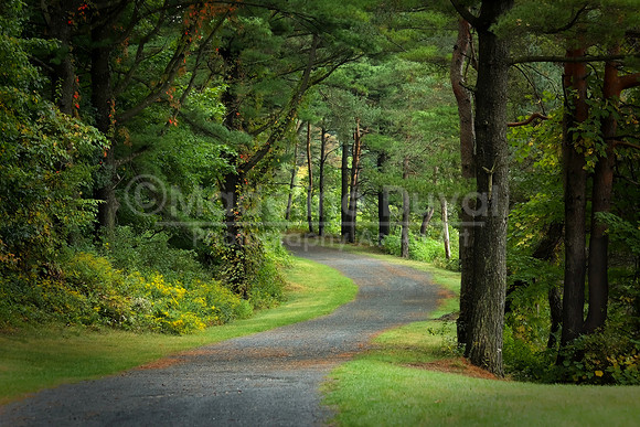 092511_2186_EarlyAutumnWalk