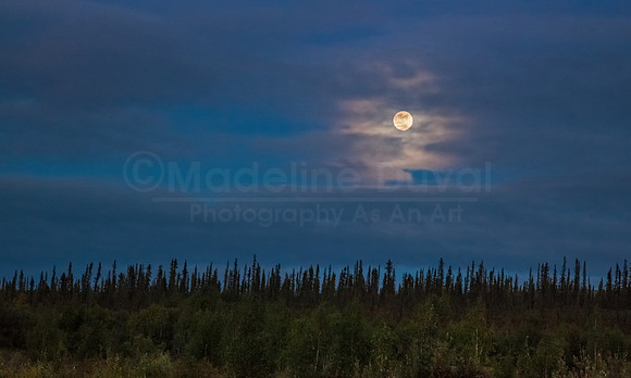 082013-0273_MidnightAlaska