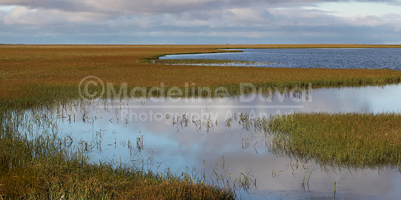 082113-0630_ArcticTundra