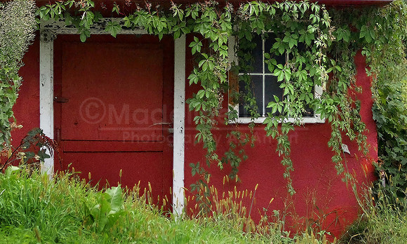 The Little Red Shed