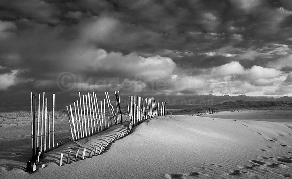 The Dunes At Chatham Beach