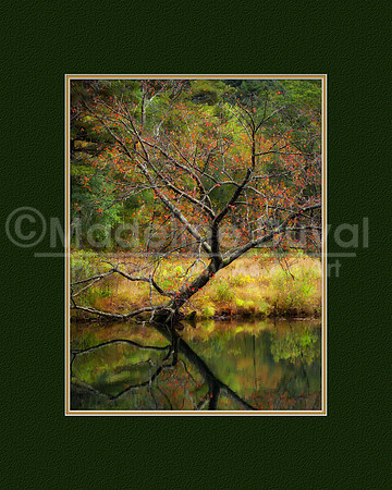 Tree Art