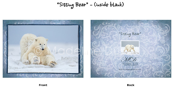 Sitting Bear Note Cards