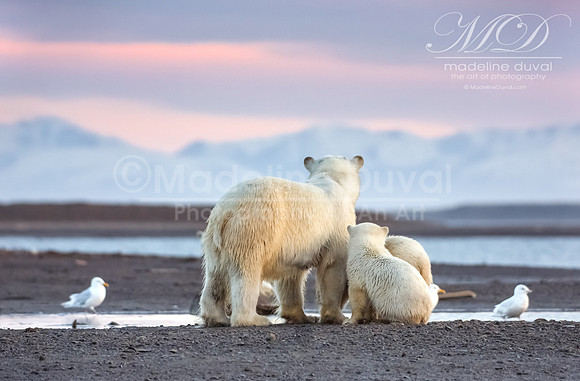 Day_4_082813_7232-SunsetInAlaska