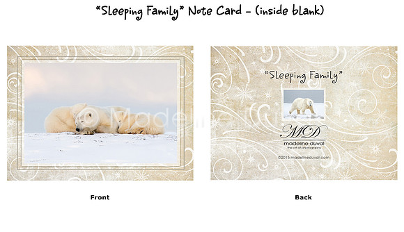 Sleeping Family Note Cards
