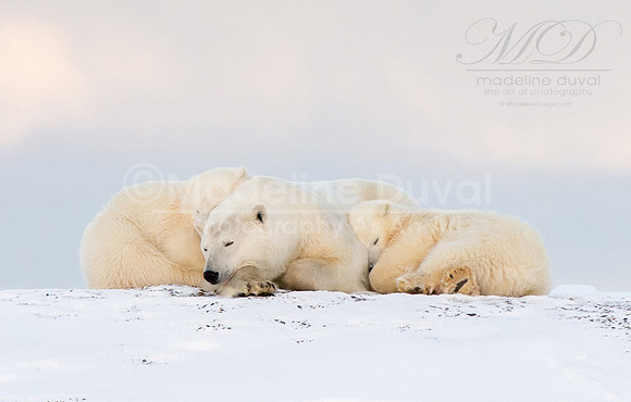 Day_7_101014_0888-naptime_copy_lowres