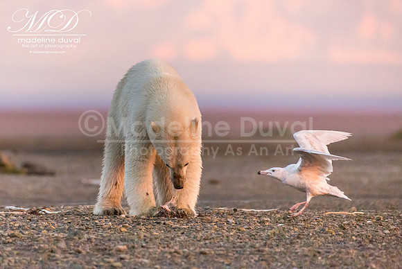 Day_2_082713_6823_lowres