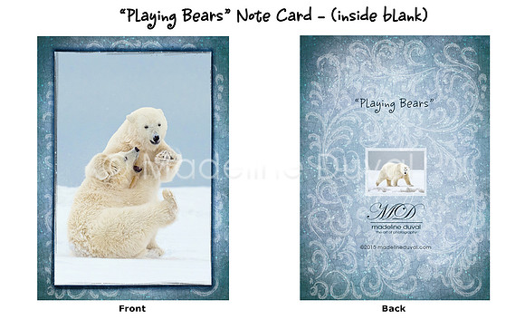 Playing Bears Note Cards