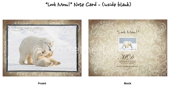 Look Mom! Note Cards