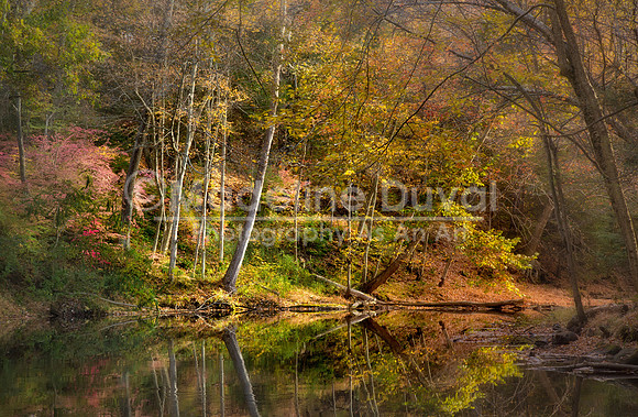 102415_ScanticRiver_4609