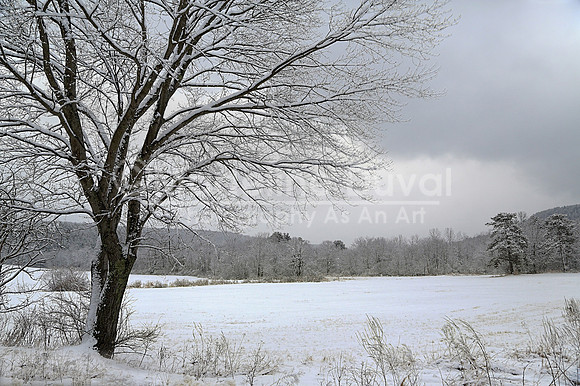 021613_4842_DunhamtownPalmer_Color