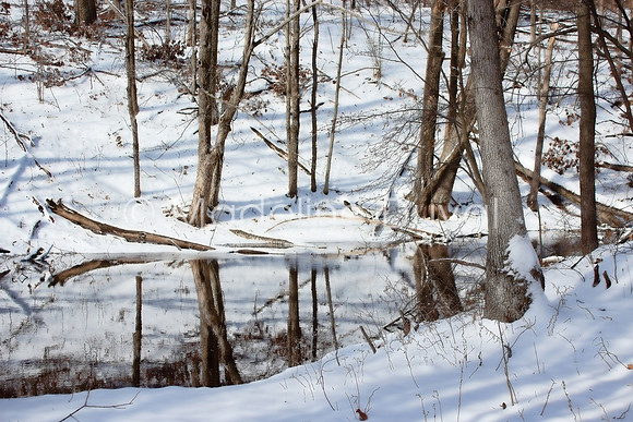 012212_4622_WinterTreeReflections