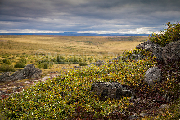 082013-0112_AboveTreeLine