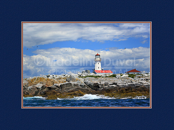 Machias Seal Island Light