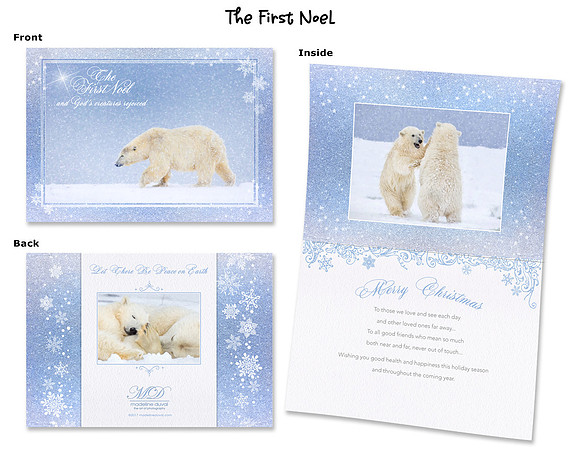 The First Noel Polar Bear Christmas Cards