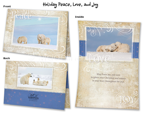 Snuggling Polar Bear 5x7 Christmas Cards