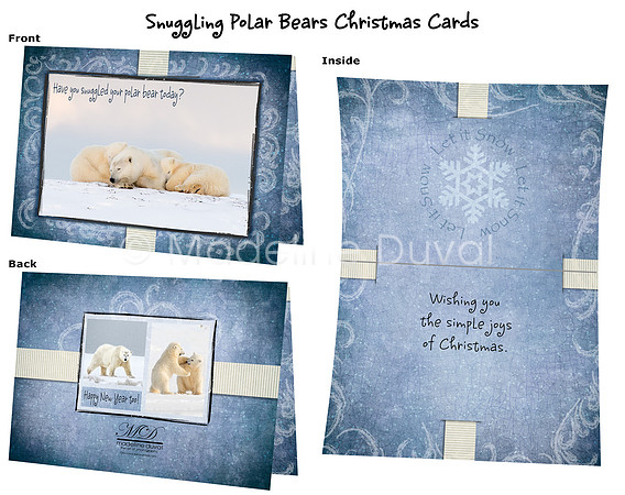 Snuggling Polar Bear 5x7 Christmas Cards