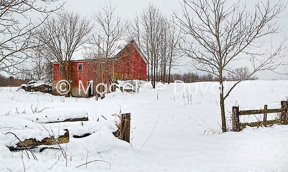 030813_4960_SnowySerenity