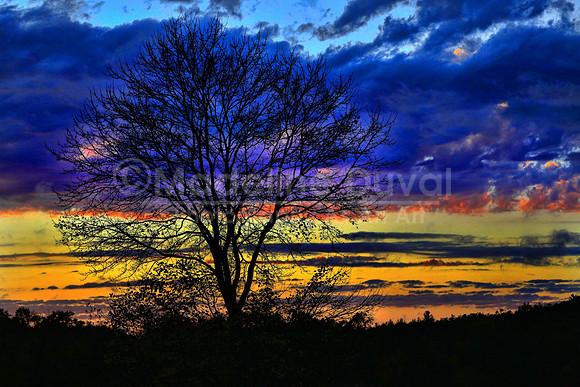 Sunset On Dunhamtown