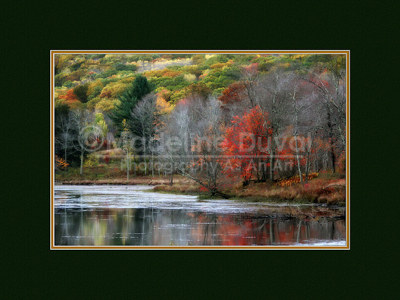 Autumn Red Tree