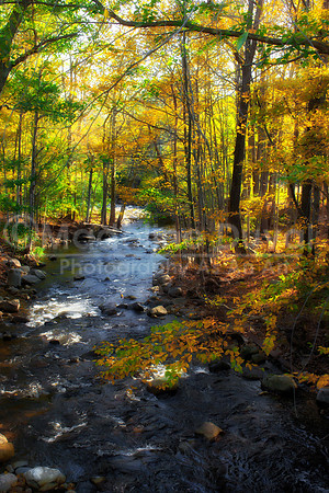 Stream In Autumn