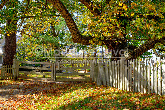 102013_9153-AutumnsGate