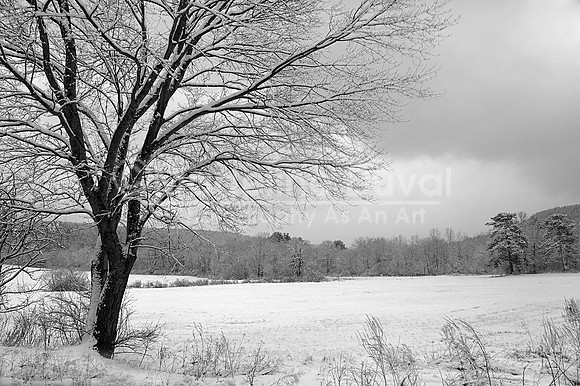 021613_4842_DunhamtownPalmer_BW