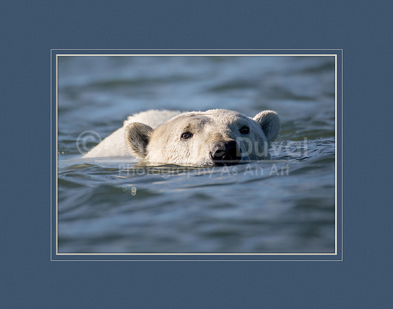 082813_7318_polarpaddle_11x14mat
