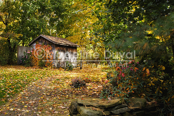 100713-9103-StudioBarn