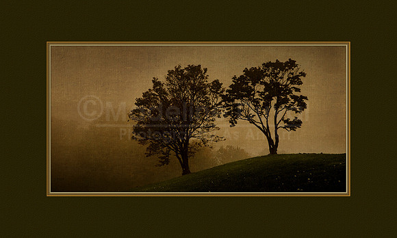 100612_3191_FogOnBrushHill_matted