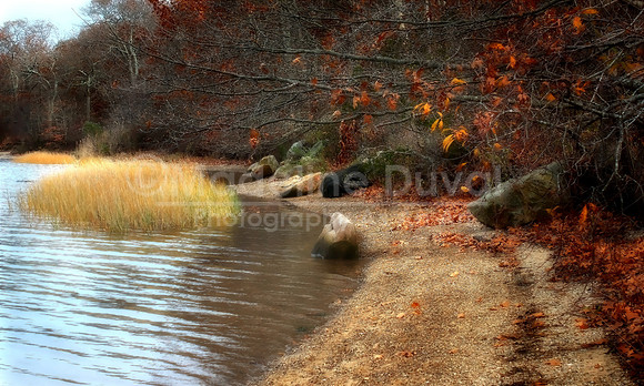 Autumn At The Seashore