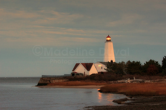111311_3914_LyndePointLight