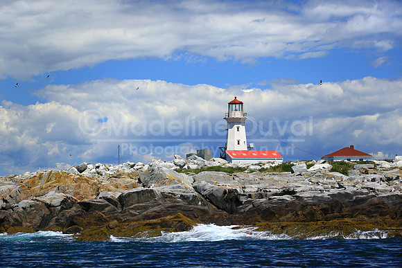 072212-1268_MachiasLight