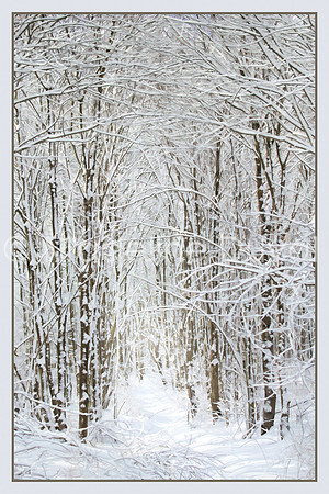 021414_0247_PathToWinter