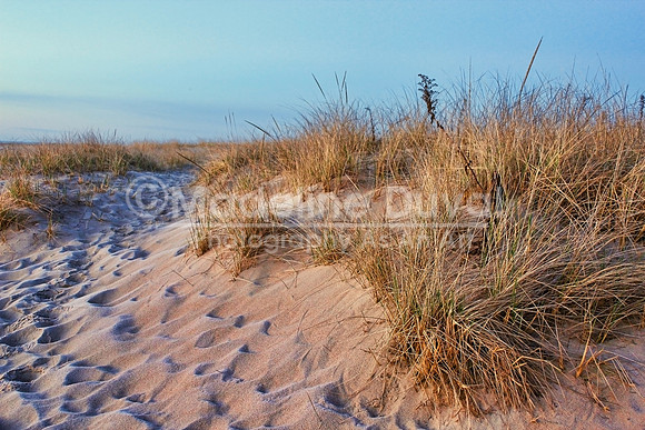 033112-5793_FrostOnDunes