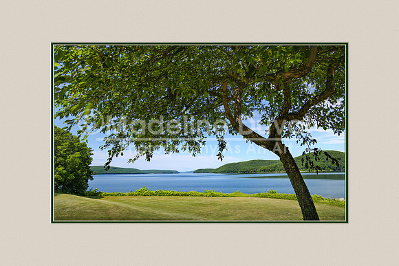 070612_0673_SummerSceneQuabbin_1_matted
