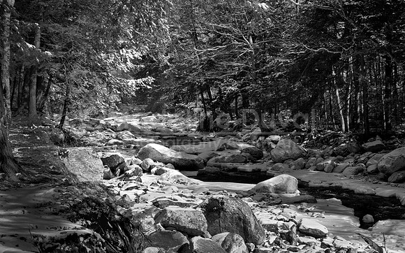 021912_5004_RoaringBrookWtrScape