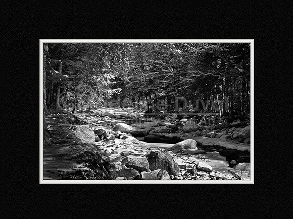 021912_5004_RoaringBrookWtrScape_matted_