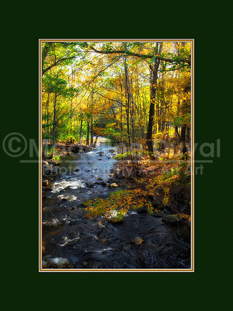 Stream In Autumn