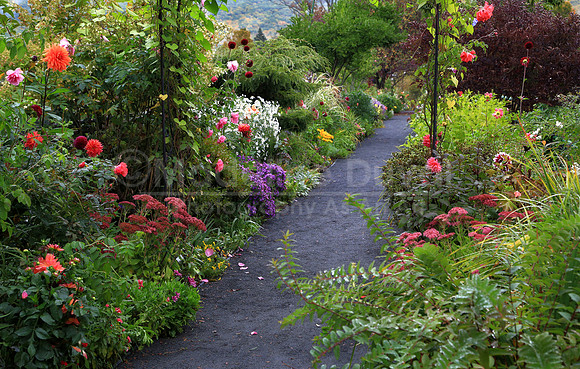 093012-2789_BridgeofFlowers