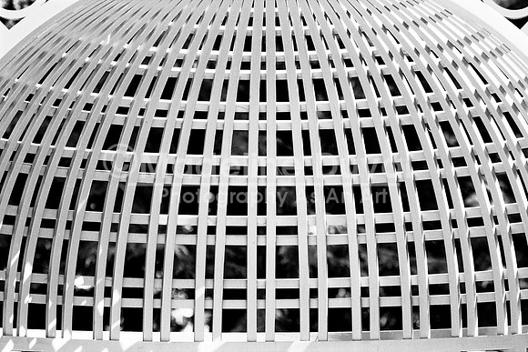 Caged, An Abstract in Black & White