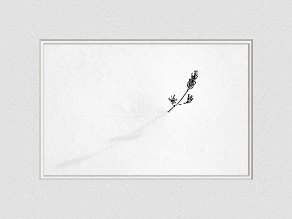 Winter Snow Shadow