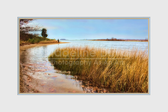 A Walk By The Seashore In Autumn