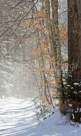 021912_4960_WtrOnSomerset