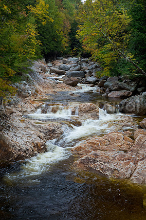 The Stream In Early Fall